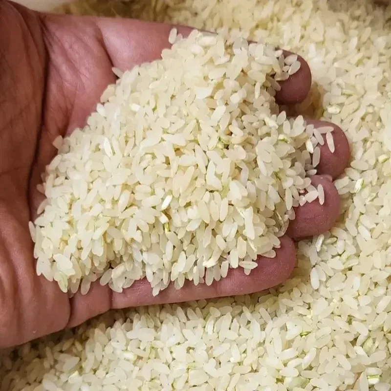 برنج کامفیروزی