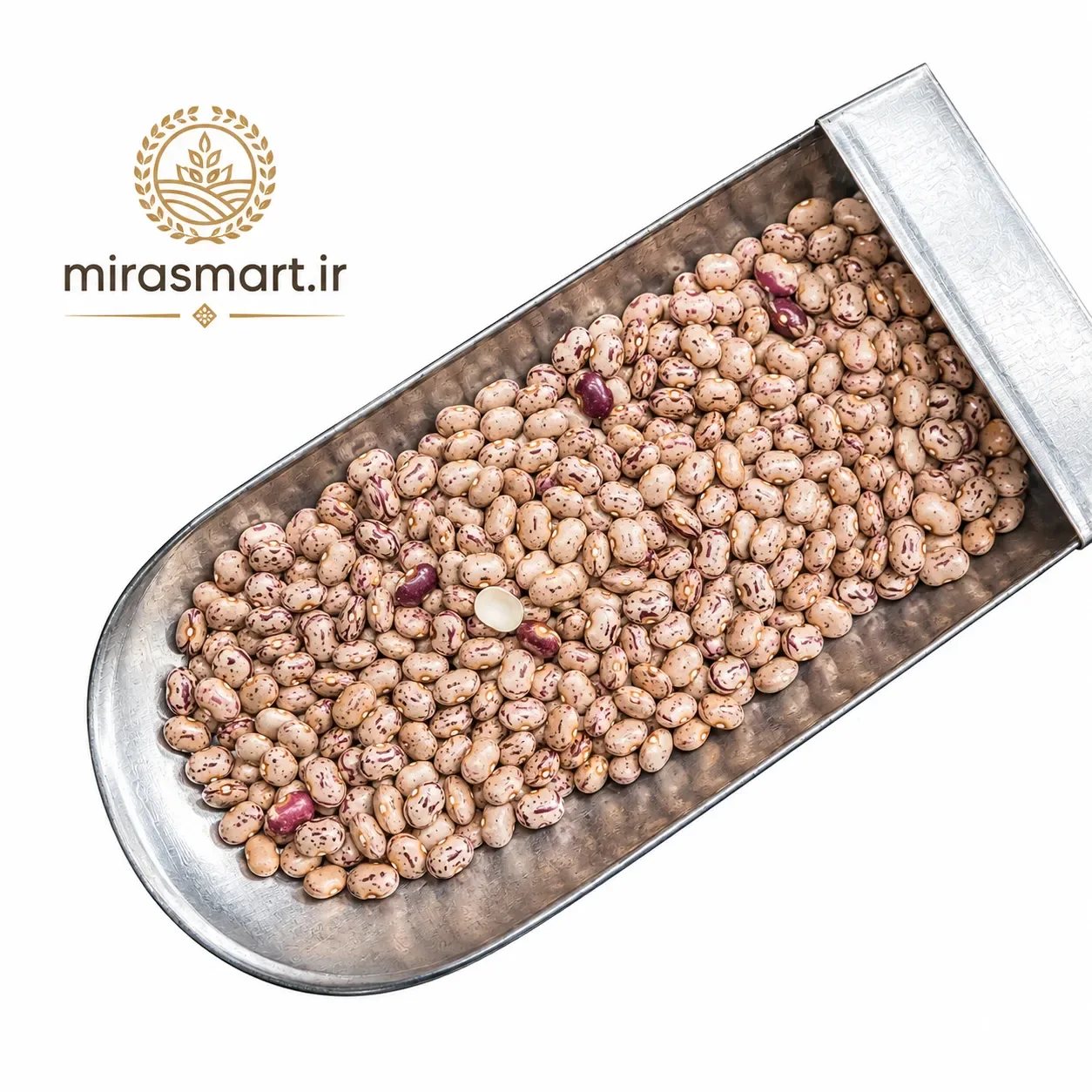 لوبیا چیتی