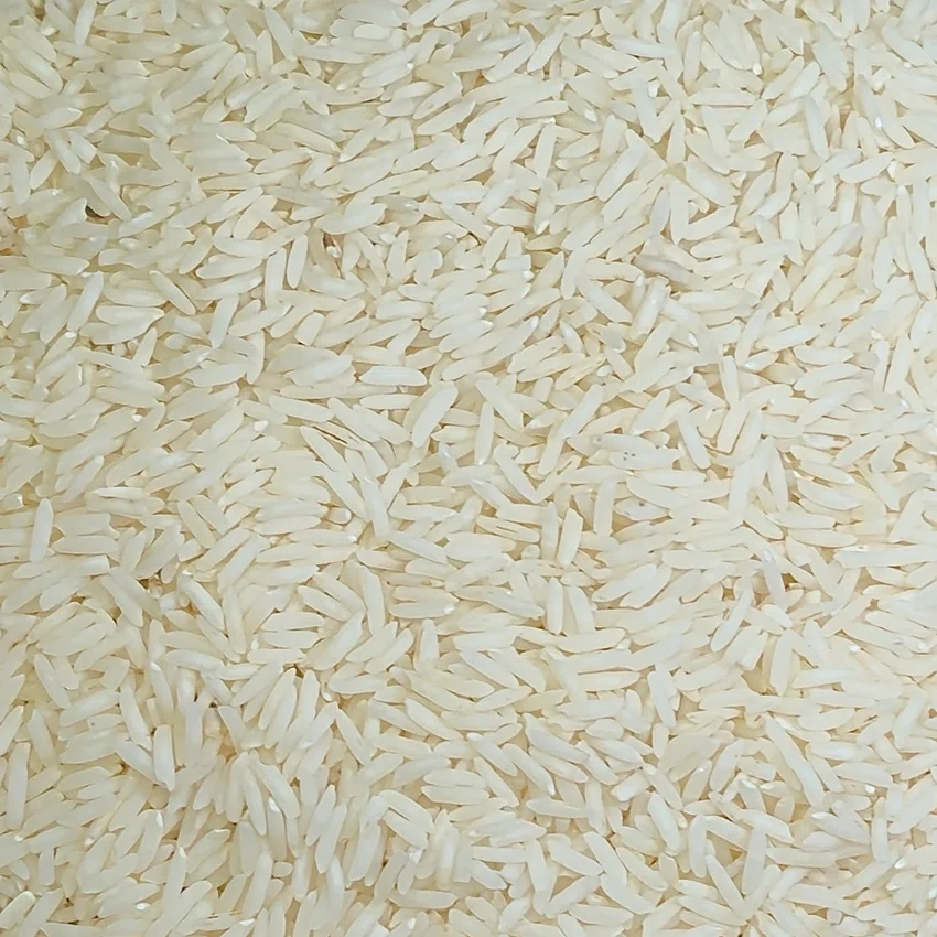 برنج طارم هاشمی کشت دوم